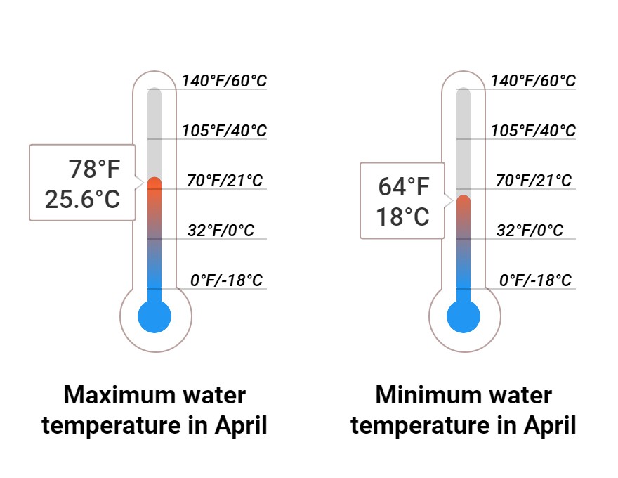 Average Sea temperature